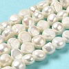 Natural Cultured Freshwater Pearl Beads Strands PEAR-E017-19-2