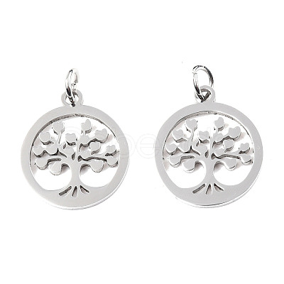 304 Stainless Steel Pendants LS-STAS-T046-JA350-1A-P-1