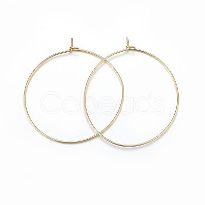 316 Surgical Stainless Steel Hoop Earrings X-STAS-P210-26G-01-1