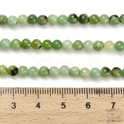 Natural Serpentine Beads Strands G-Z110-C04-4mm-1