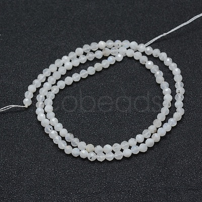 Natural Rainbow Moonstone Beads Strands X-G-E411-08-4mm-1