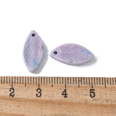 Natural Rainbow Alashan Agate Pendants G-G194-03A-1