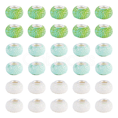 100Pcs Large Hole Resin European Beads OPDL-TA0001-06B-1