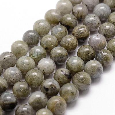 Natural Labradorite Bead Strands G-D840-64-8mm-1