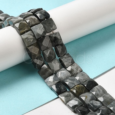 Natural Eagle Eye Stone Beads Strands G-C109-A15-02-1