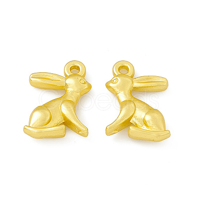 Rack Plating Alloy Charms FIND-G045-30MG-1