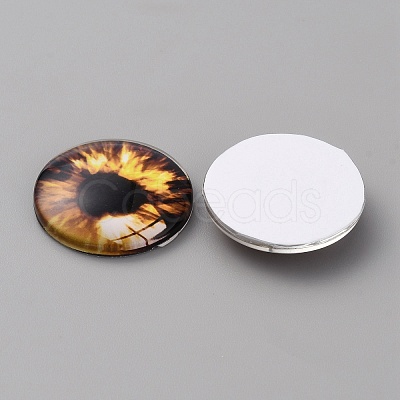 Glass Cabochons LS-GLAA-WH0033-75G-07-1
