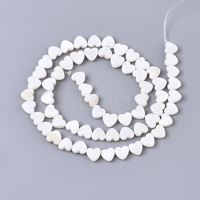Natural Freshwater Shell Beads Strands X-SHEL-N027-01-1