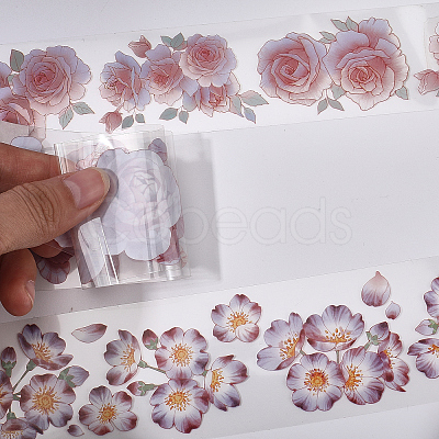 2 Bags 2 Styles PET Decorative Stickers DIY-CP0012-95-1