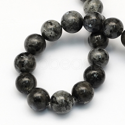 Natural Larvikite Round Beads Strands G-S159-6mm-1