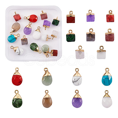 Kissitty 16Pcs 16 Style Natural & Synthetic Gemstone Pendants G-KS0001-06-1