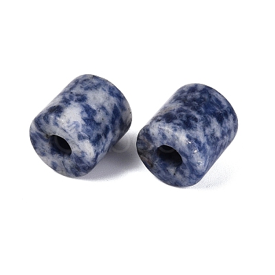 Natural Blue Spot Jasper European Beads G-P520-05J-1