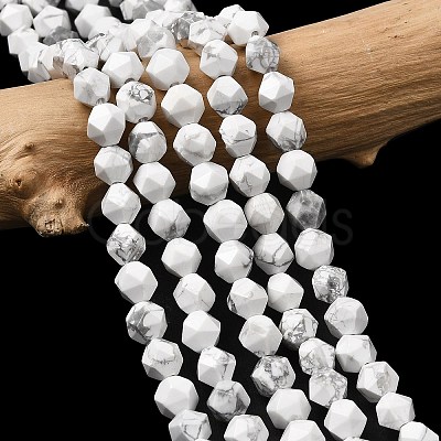 Natural Howlite Beads Strands G-Z119-A43-01-1