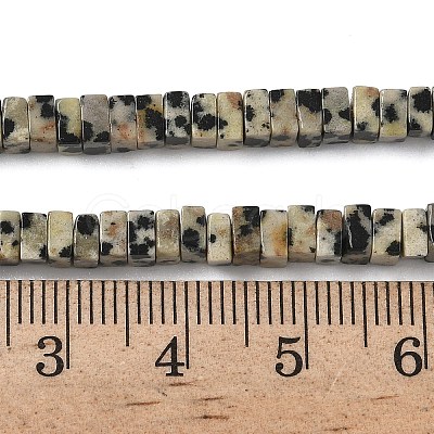 Natural Dalmatian Jasper Beads Strands G-A280-C07-01-1