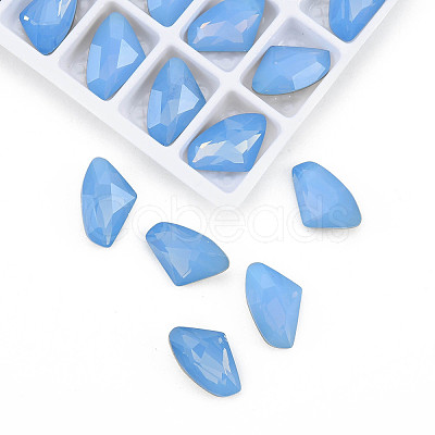 K9 Glass Rhinestone Cabochons MRMJ-N029-23-04-1