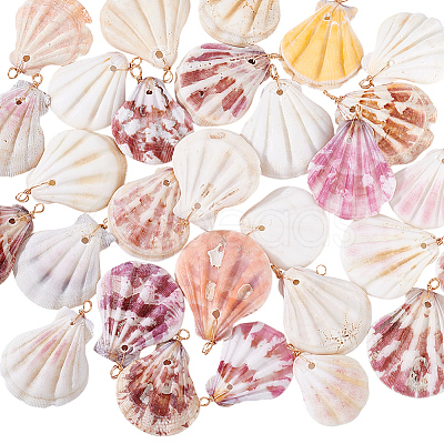 30Pcs Natural Shell Pendants PALLOY-PH01840-1