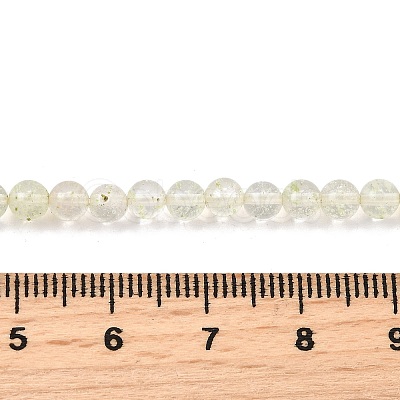 Watermelon Stone Glass Beads Strands G-L621-B04-4mm-1