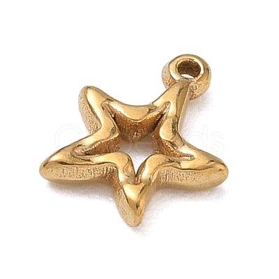 304 Stainless Steel Charms LS-SA-B007-02G-C-1