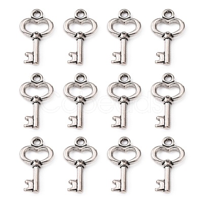 Gifts Ideas for Her Tibetan Style Alloy Charms LF11975Y-1