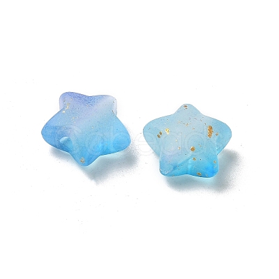 Frosted Acrylic Charms OACR-M023-04F-1