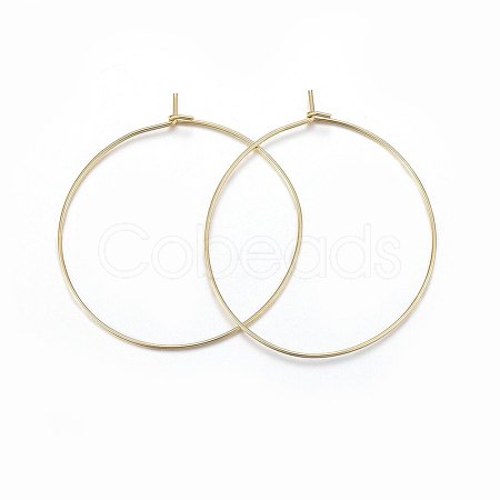 316 Surgical Stainless Steel Hoop Earrings X-STAS-P210-26G-01-1