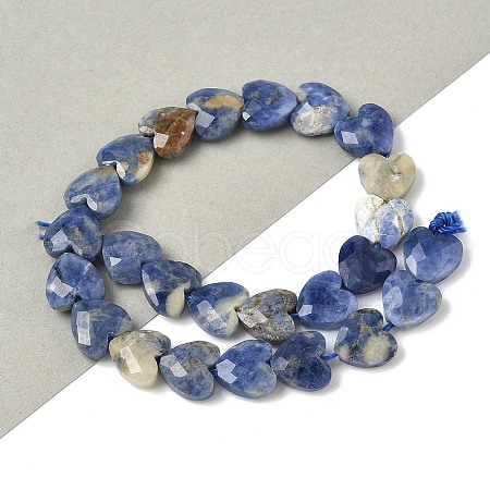 Natural Sodalite Beads Strands G-D316-B08-1