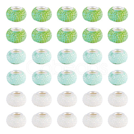 100Pcs Large Hole Resin European Beads OPDL-TA0001-06B-1
