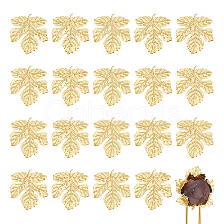 Brass Cabochons KK-WH0079-107G-1