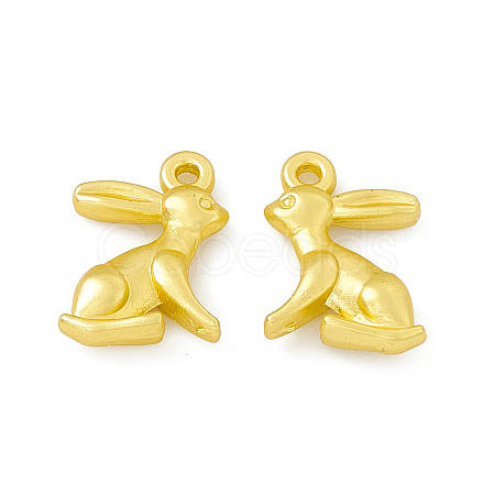 Rack Plating Alloy Charms FIND-G045-30MG-1