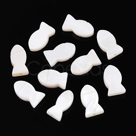 Natural Freshwater Shell Beads SHEL-T020-65-1