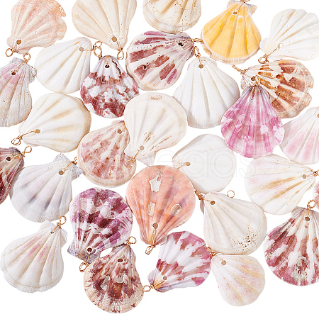 30Pcs Natural Shell Pendants PALLOY-PH01840-1