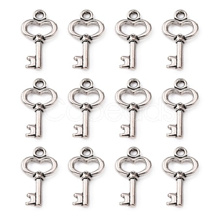 Gifts Ideas for Her Tibetan Style Alloy Charms LF11975Y-1