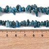 Natural Apatite Beads Strands G-F666-01B-02-01-5