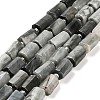 Natural Eagle Eye Stone Beads Strands G-G068-A24-01-1