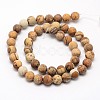 Natural Picture Jasper Beads Strands G-D686-8mm-2