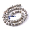 Natural Labradorite Beads Strands G-G212-8mm-23-5