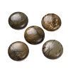 Natural Picasso Jasper Cabochons G-B085-02A-09-1