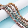 Natural Maifanite/Maifan Stone Beads Strands G-P451-01A-2