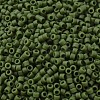 MIYUKI Delica Beads X-SEED-J020-DB1585-3