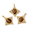 Natural Tiger Eye Pendants KK-Z149-14G-02-1