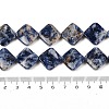 Natural Blue Spot Jasper Beads Strands G-L239-17-5