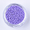 Baking Paint Cylinder Seed Beads SEED-Q036-02A-D09-2
