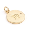 Brass Micro Pave Cubic Zirconia Pendants ZIRC-E164-34A-G-2