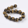 Natural Tiger Eye Beads Strands G-C076-12mm-1B-2