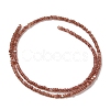 Natural Freshwater Shell Beads Strands SHEL-P017-01A-15-2