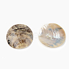 Mother of Pearl Buttons SSHEL-R048-021-2