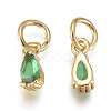 Brass Micro Pave Cubic Zirconia Charms ZIRC-F111-04G-08-2