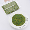 8/0 Two Tone Opaque Glass Seed Beads SEED-T006-01B-A05-2