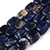 Natural Sodalite Beads Strands G-T138-107-4