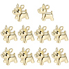 10Pcs Brass Charms KK-BBC0024-48-7